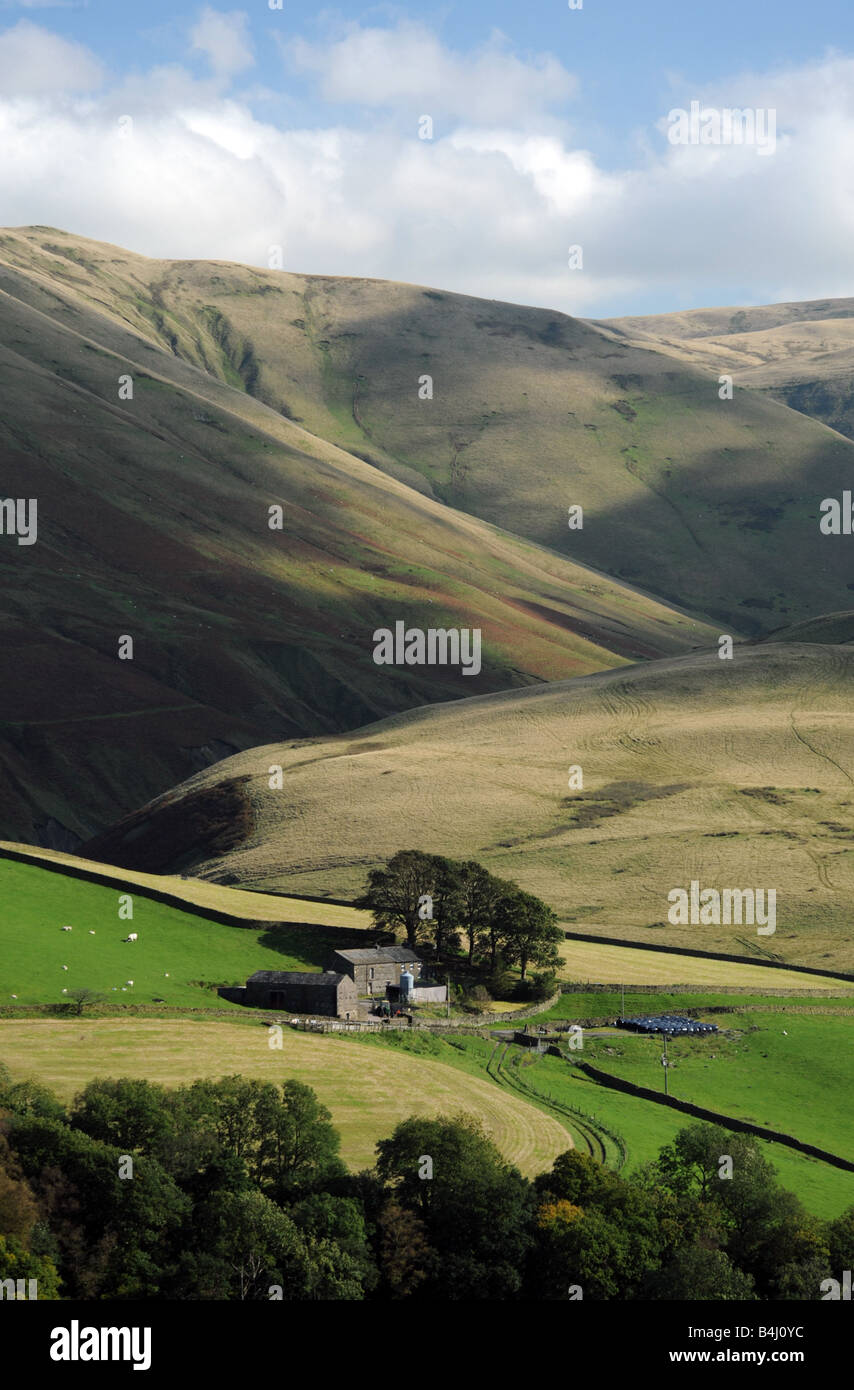 Low Carlingill Farm and the Howgill Fells, Cumbria, England, United Kingdom, Europe. Stock Photo