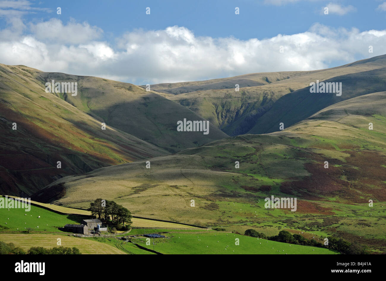 Low Carlingill Farm and the Howgill Fells, Cumbria, England, United Kingdom, Europe. Stock Photo