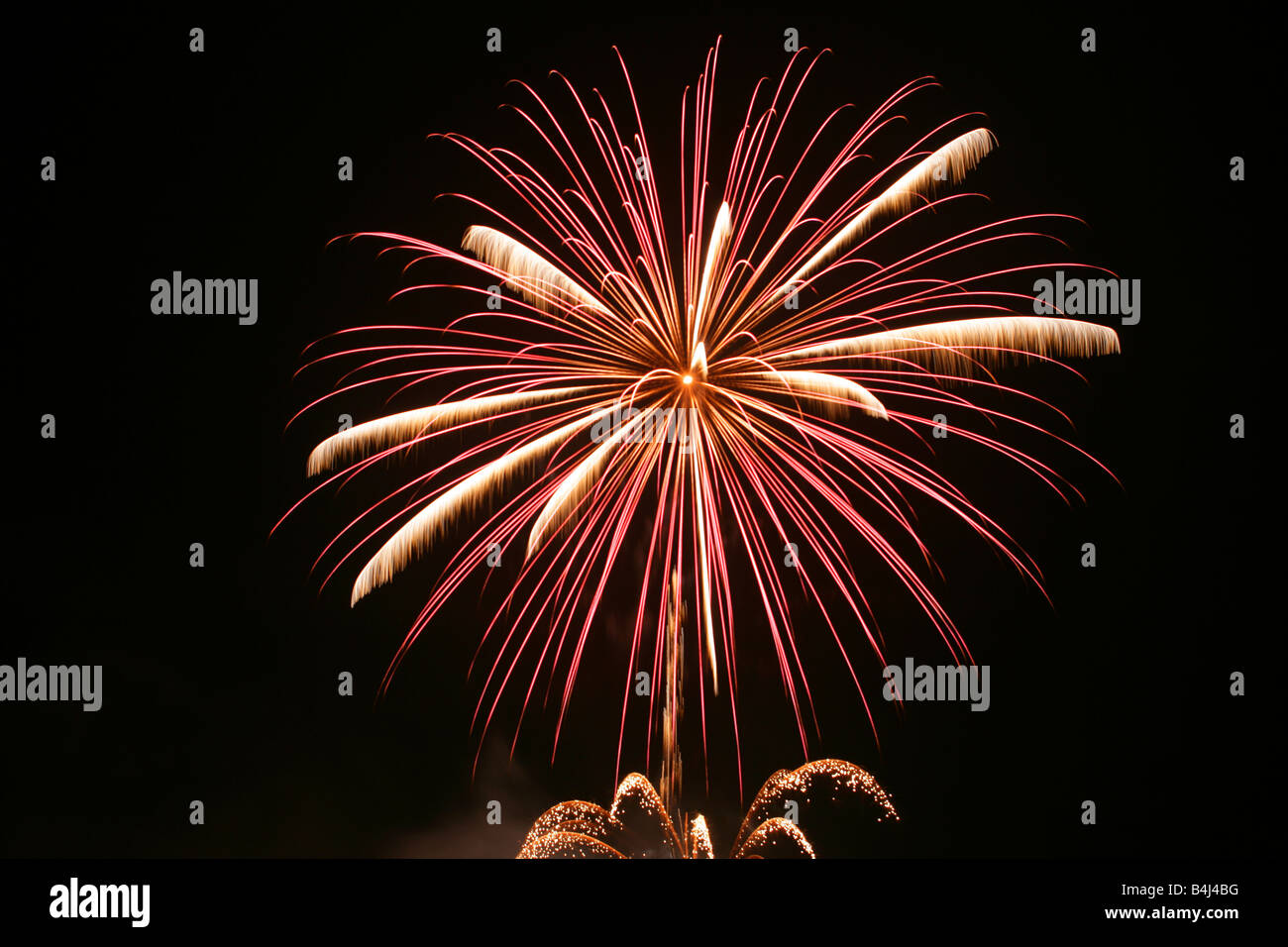 Colourful exploding firework Stock Photo
