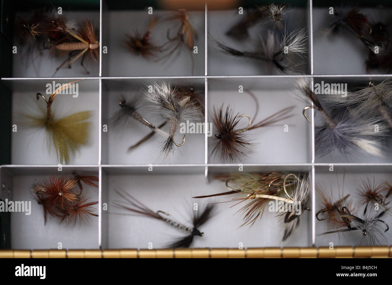 Vintage fly box, containing dry flies. Stock Photo