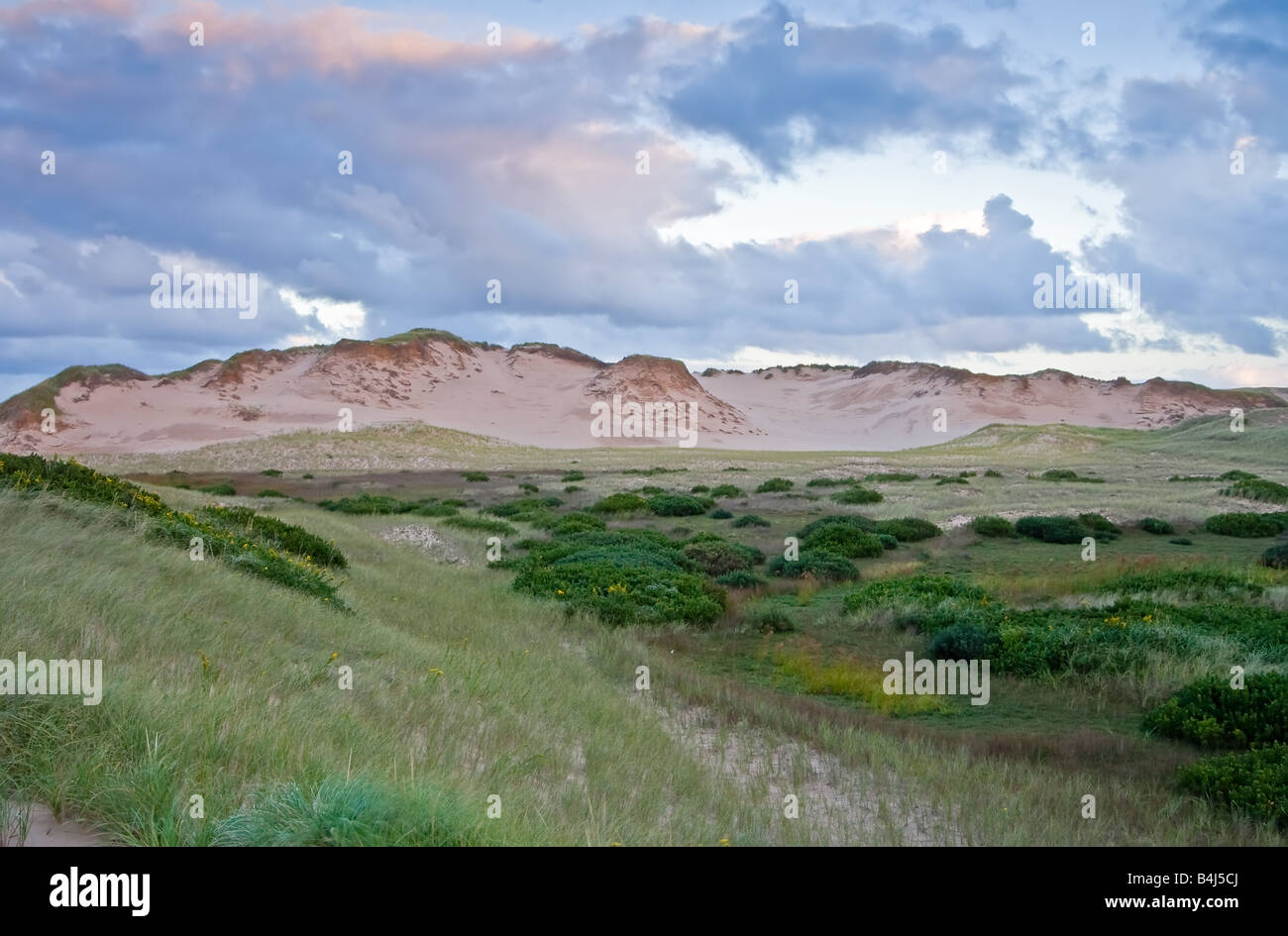 Parabolic dunes at Greenwich PEI Stock Photo