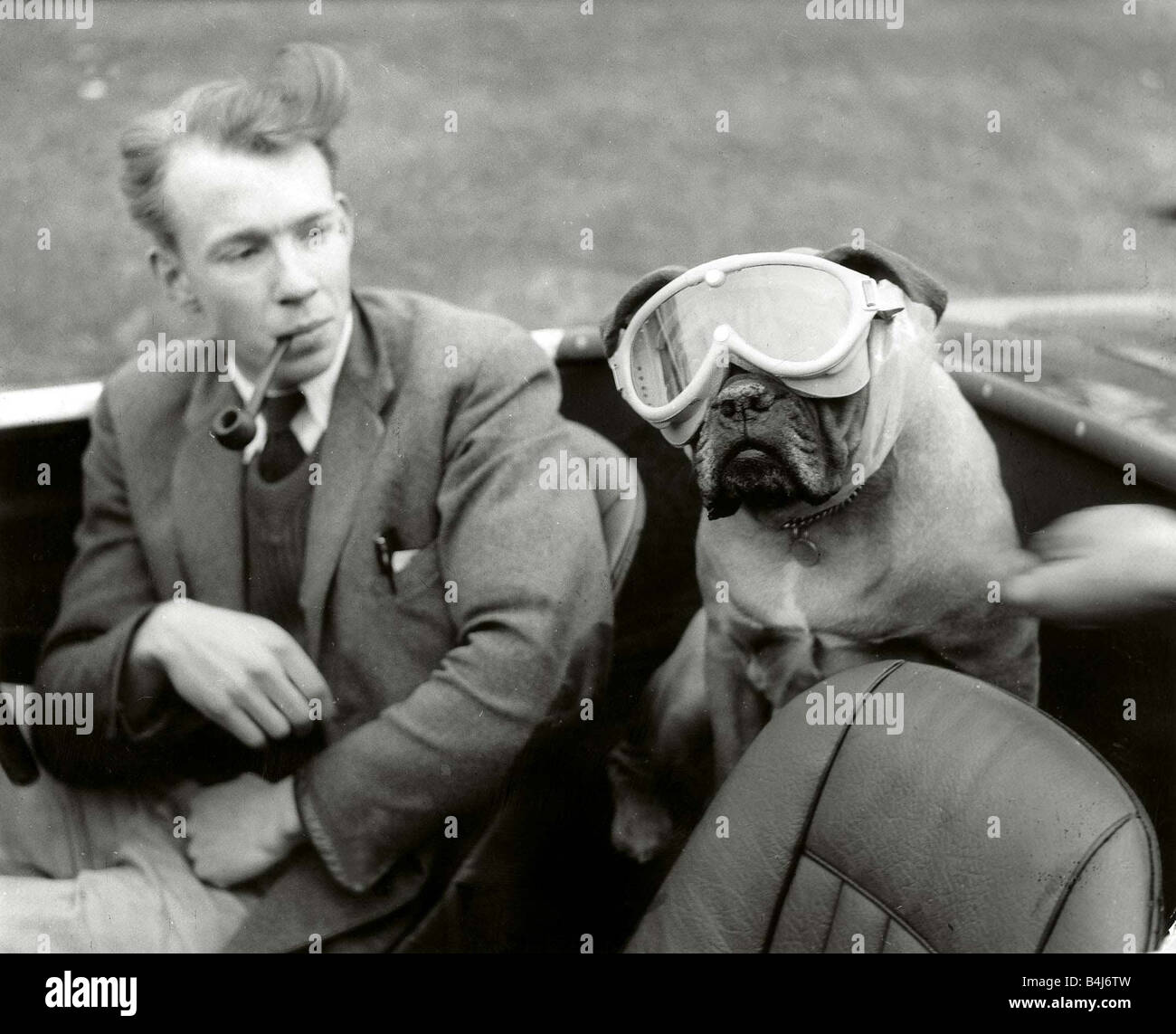 You can now buy doggie goggles to protect motoring pets eyes from dust Man smoking pipe dog in car wearing goggles May 1962 Stock Photo