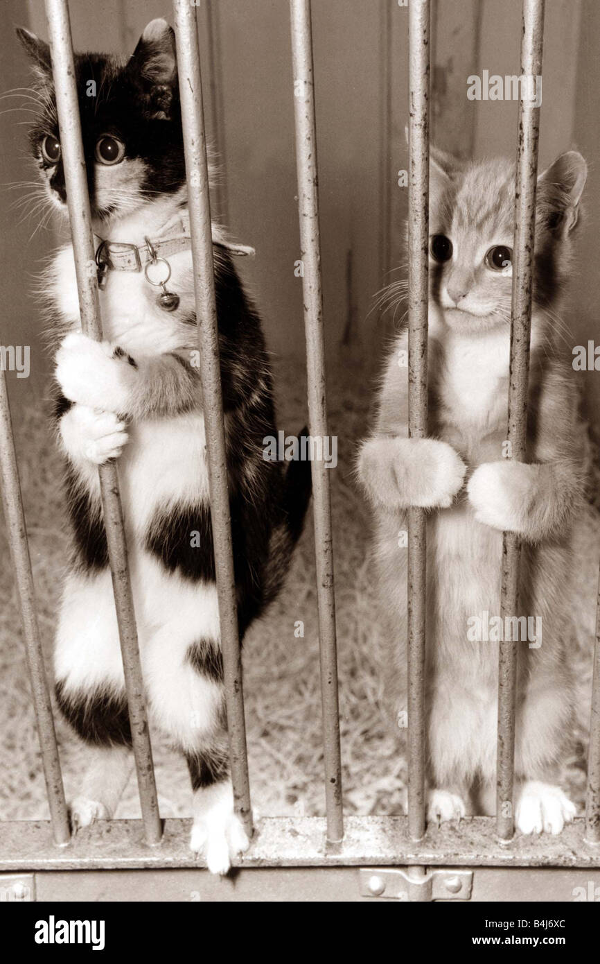 Like a prison hires stock photography and images Alamy