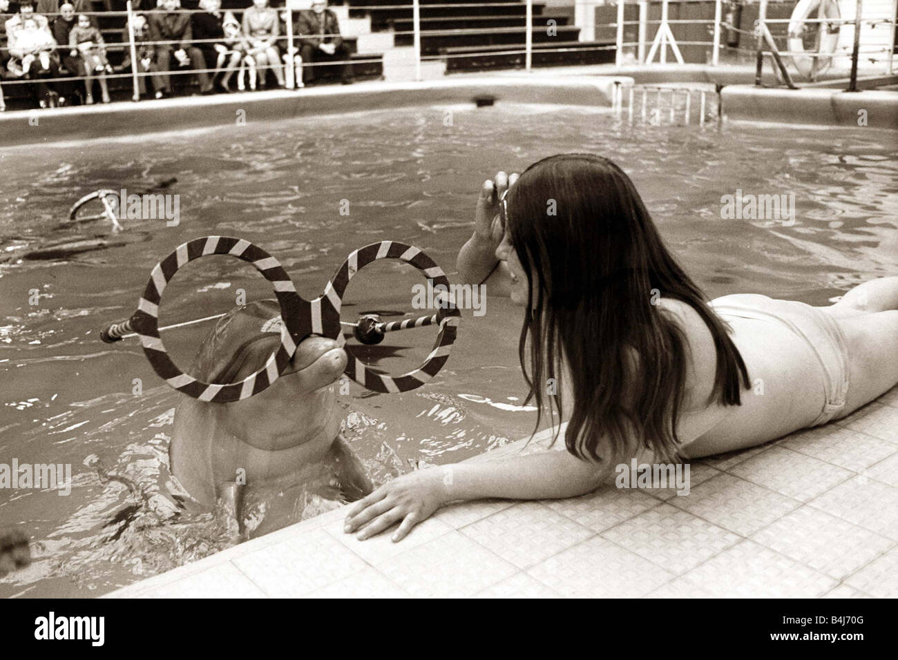 A young woman plays with a dolphin who is wearing comic glasses Stock Photo