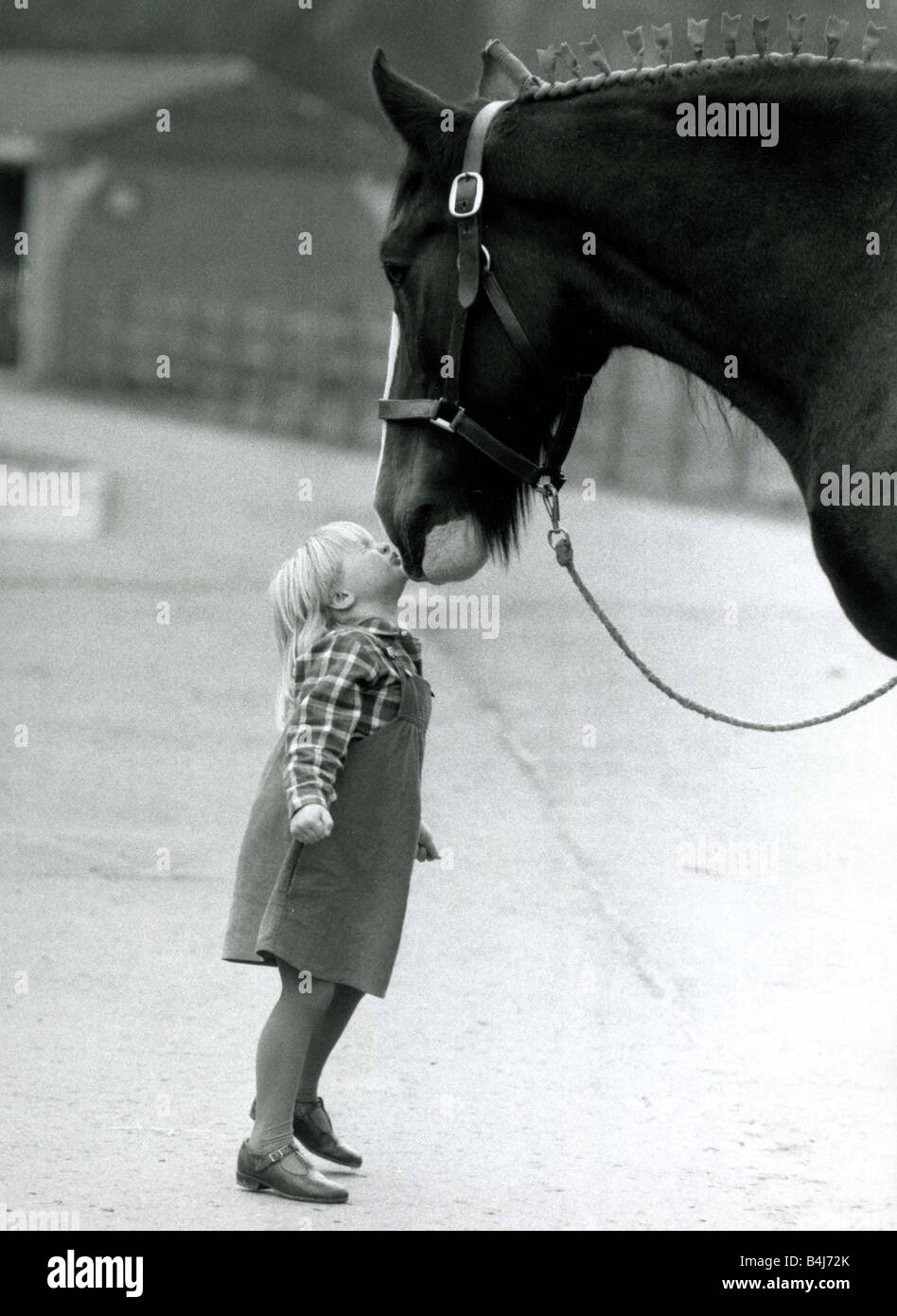 Victoria May 4 kisses Barley the Brewery Horse on the nose Courage