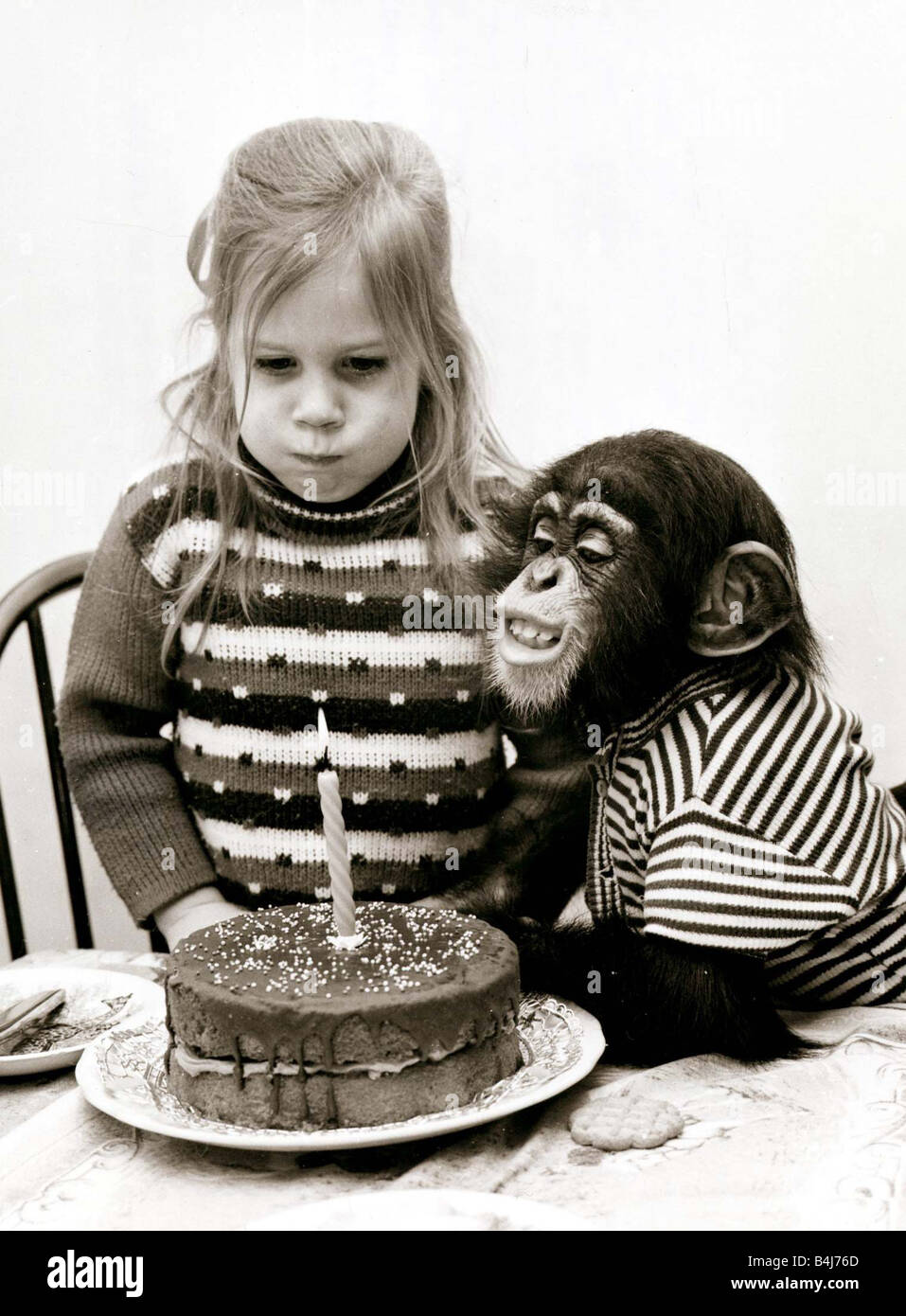 A little girl and a chimpanzee about to slow out a candle on a birthday