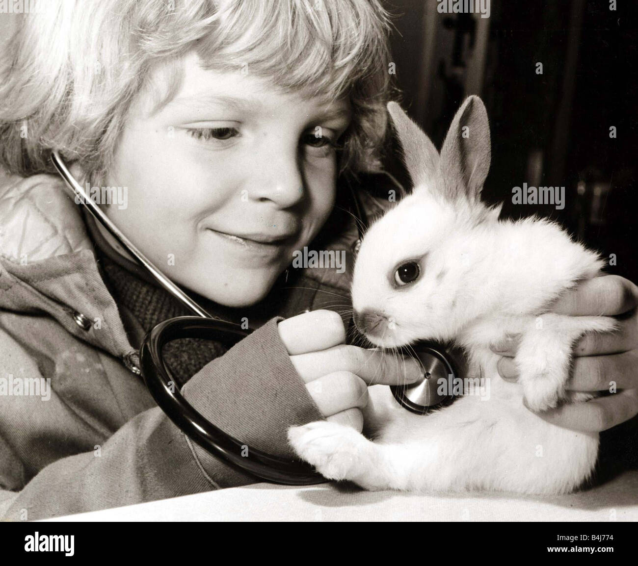 A young boy examines his rabbit using a stethoscope to listen for a ...