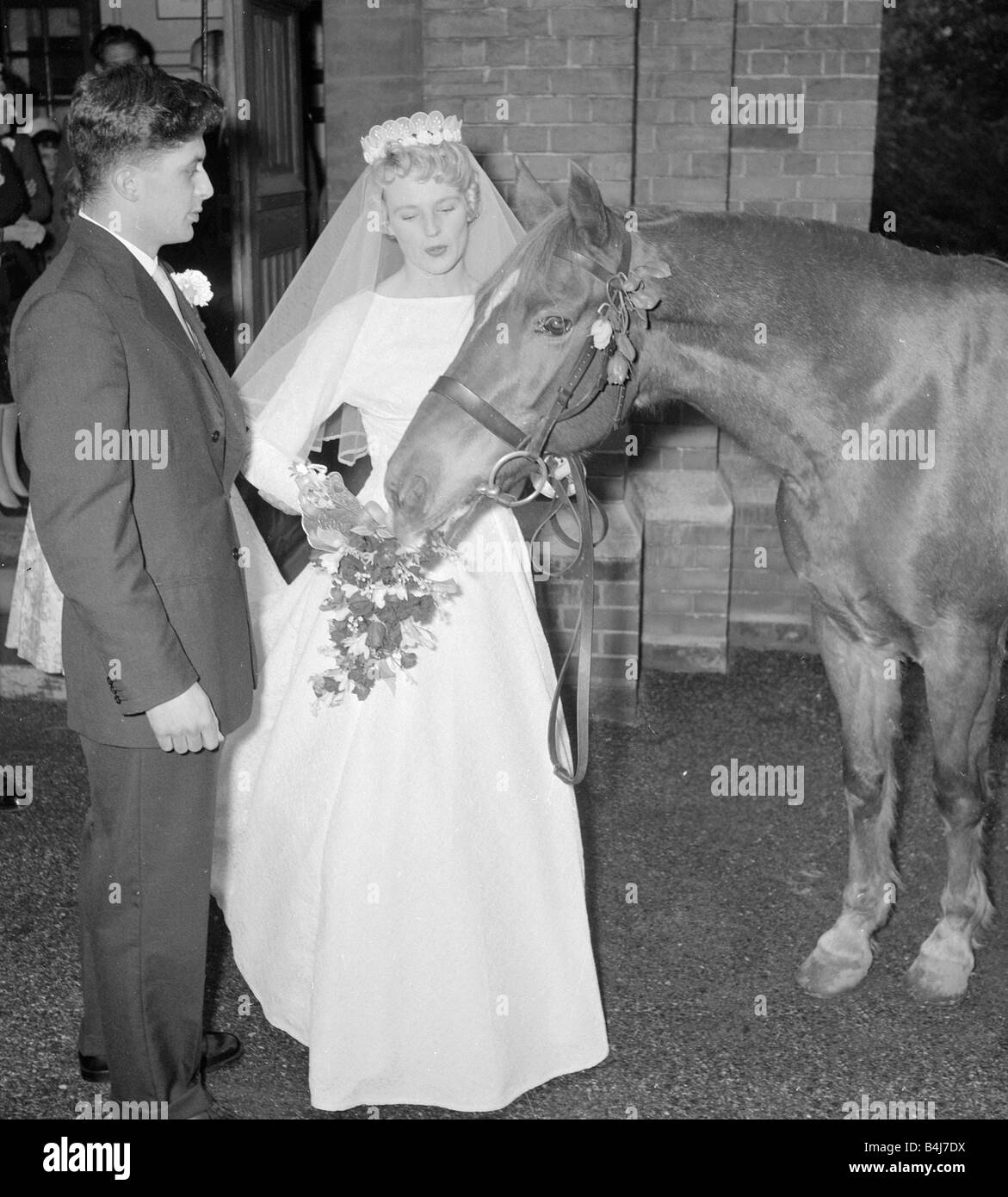 The guest of honour at a wedding in Pinner was a horse He is the pet of the  bride Sallie Alden a 22 year old air hostess from Rayners Lane Pinner Sallie, image size:1171x1390