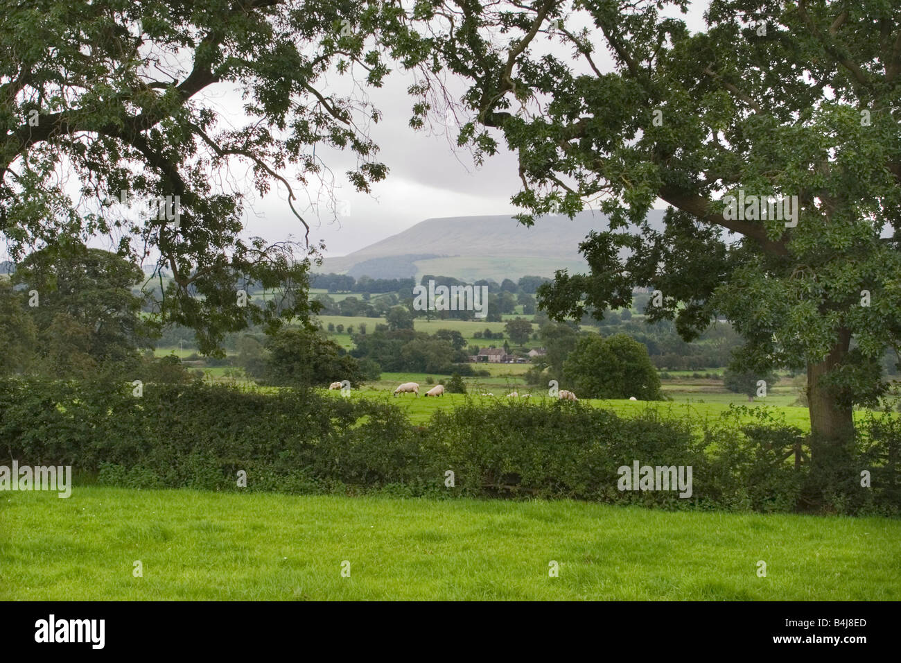 view of Pendle hill Lancashire Stock Photo