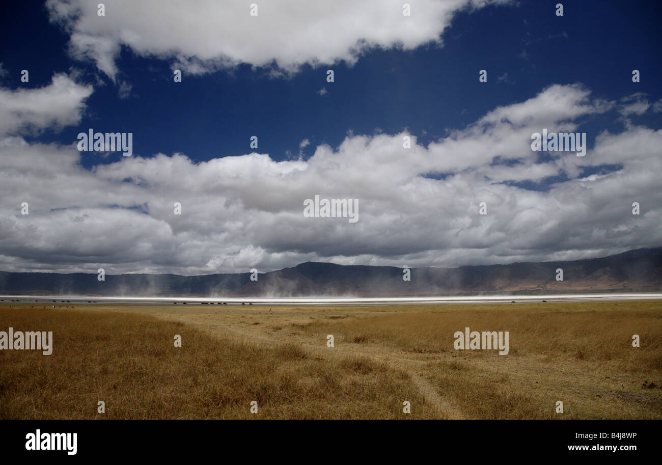 Ngorongoro Crater - Lake Magadi Stock Photo