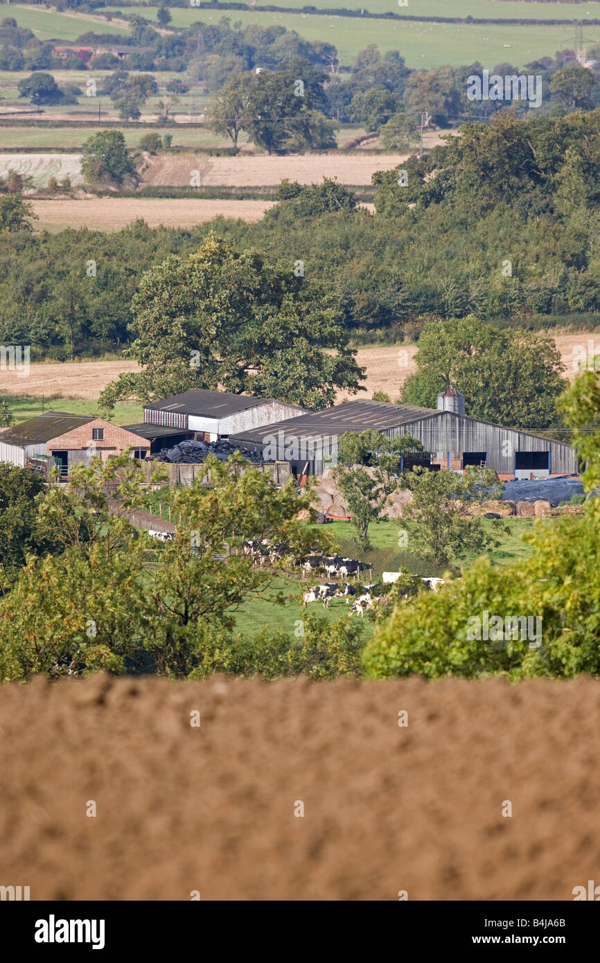 Dairy Farm In Rolling Leicestershire Countryside Stock Photo Alamy
