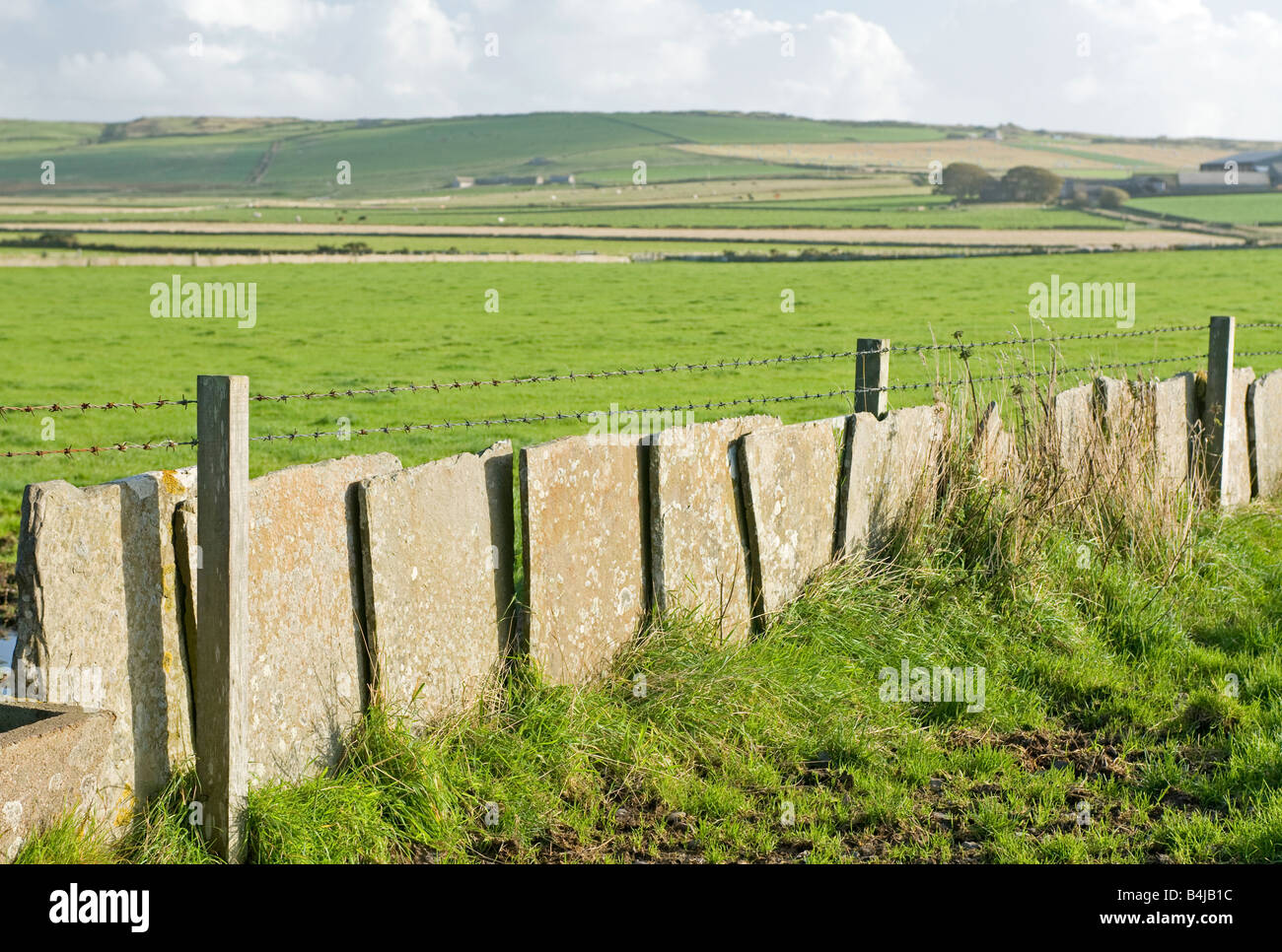 Caithness Flagstone used as a wall for retaining farm stock Northern ...