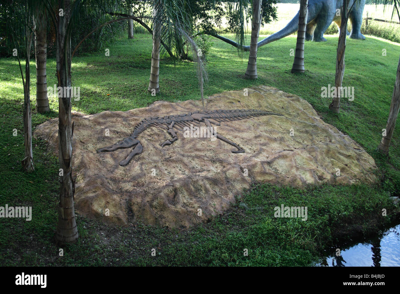 Fossil in rock at entrance to Dinosaur World, FL Stock Photo Alamy