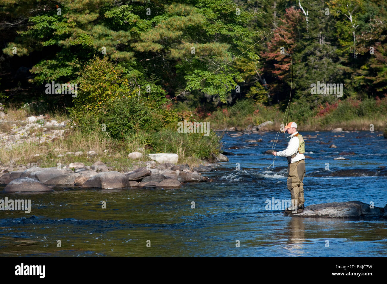 Man in hip waders salmon fishing on the Miramichi River in New Brunswick  Canada Stock Photo - Alamy