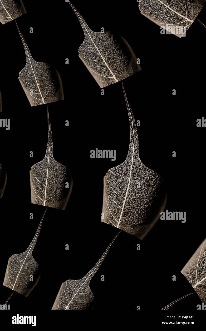 Multiplicated leaf structure Stock Photo
