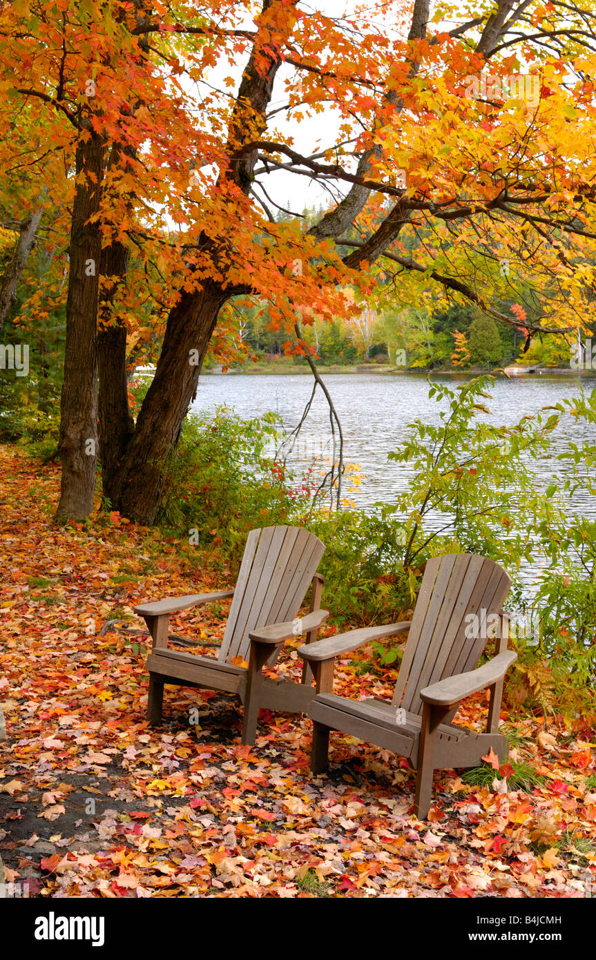 Two empty chairs in beautiful autumn nature Stock Photo