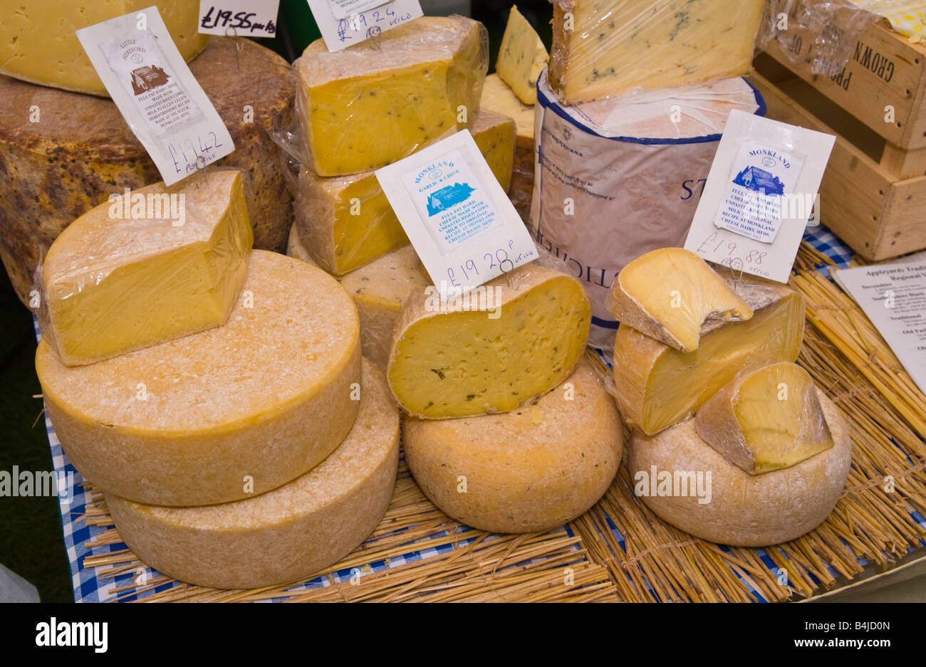 Cheese for sale at Ludlow Food Festival Ludlow Shropshire England UK Stock Photo