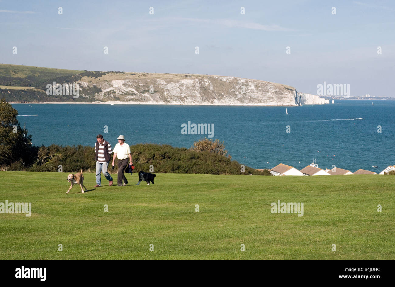 View over Swanage bay with Ballard Point in the distance Stock Photo