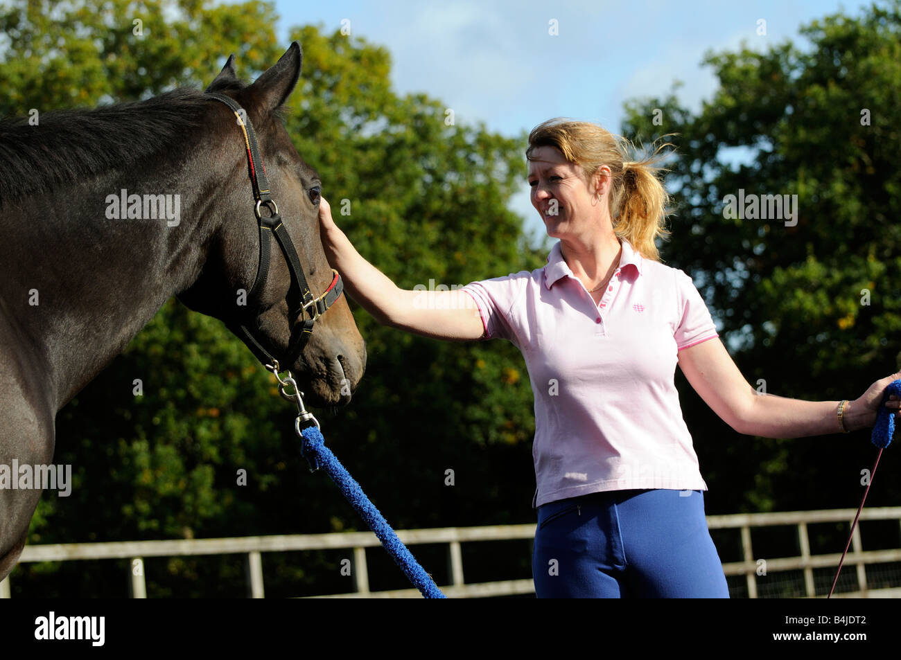 A dark bay gelding horse and horse whisperer seen during a training