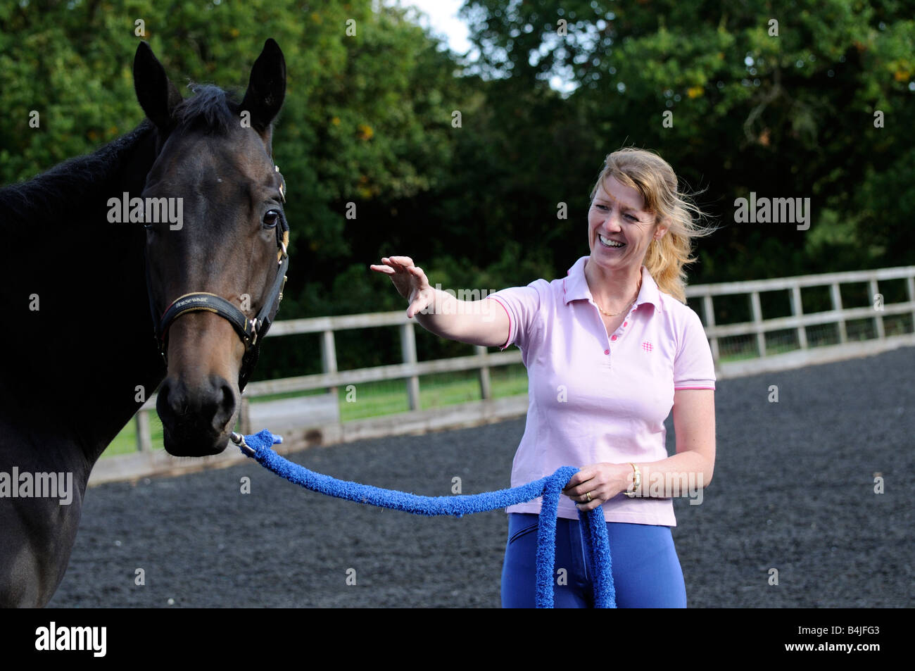 A dark bay gelding horse and horse whisperer seen during a training