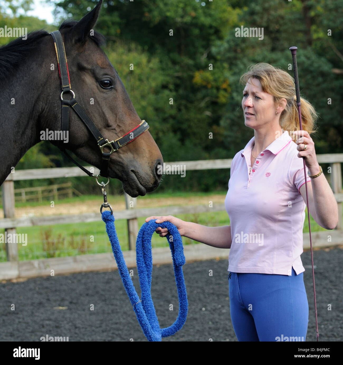 A dark bay gelding horse and horse whisperer seen during a training