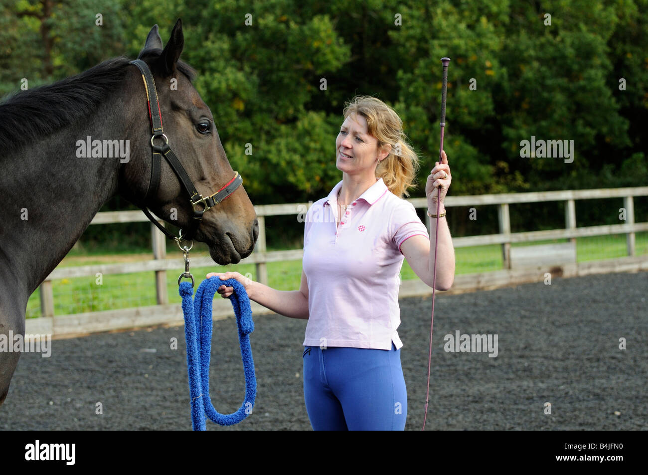 A dark bay gelding horse and horse whisperer seen during a training