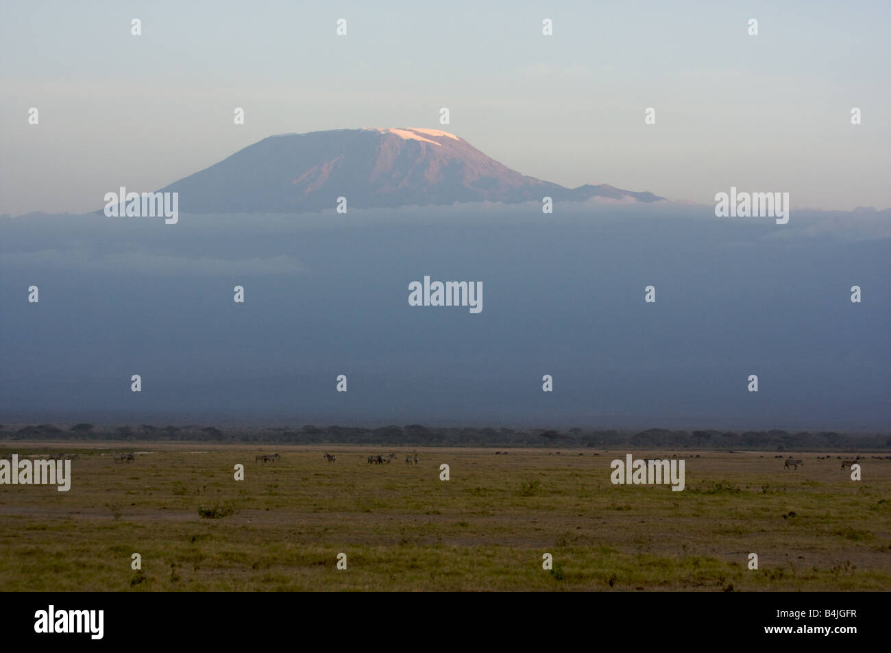 A view of Mount Kilimanjaro from Amboseli National Park in Kenya Stock Photo
