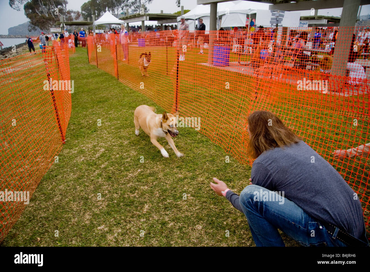 Dog owners race their pets competitively at a weekend Wag A Thon in Dana Point CA Stock Photo