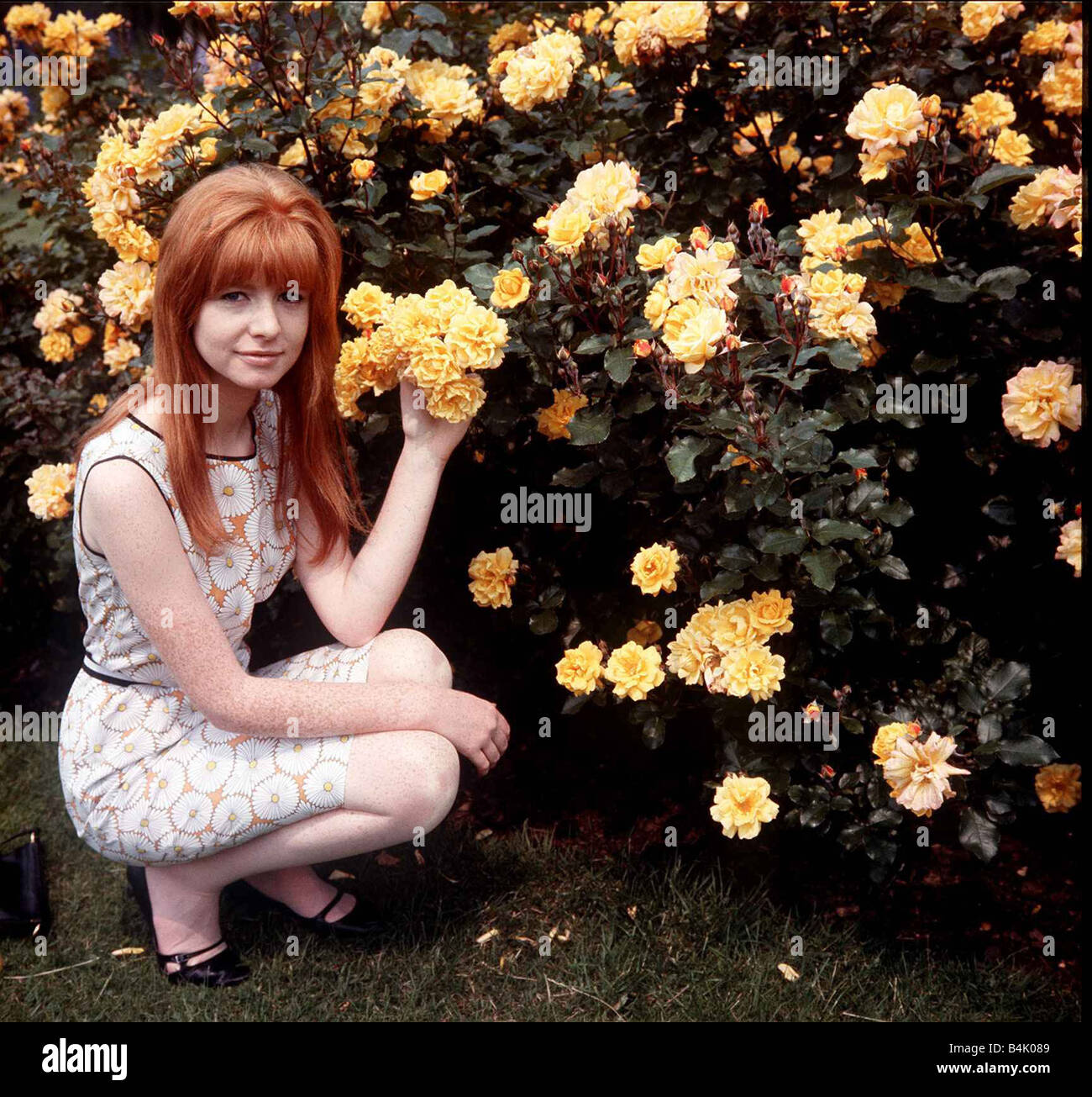 Singer actress and model Jane Asher Stock Photo - Alamy