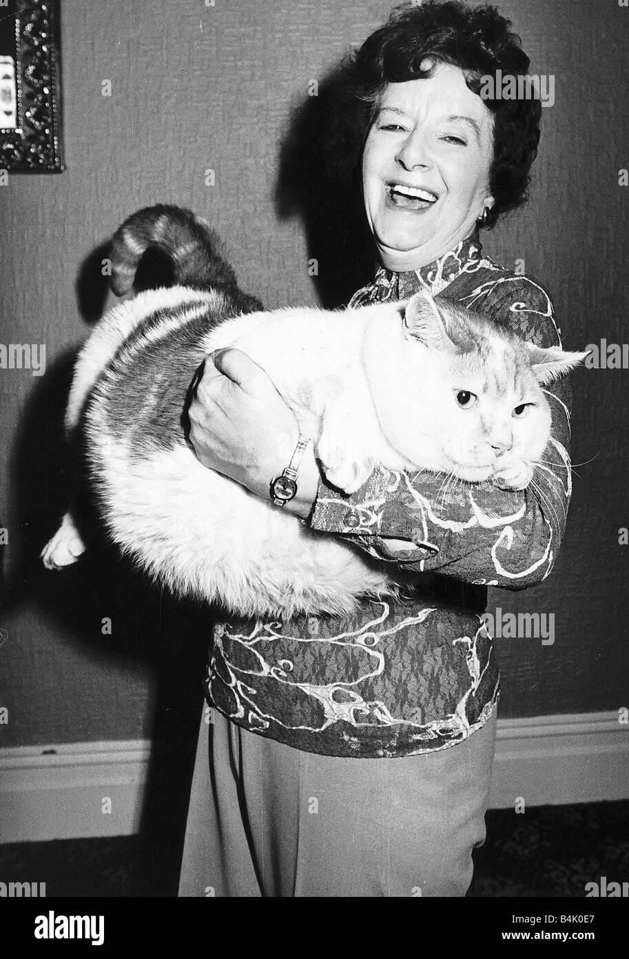 Animals Cats Hilda John hold her 6 year old pet cat Thomas O Malley who weighs 3 stone and has a 27 inch waist Stock Photo