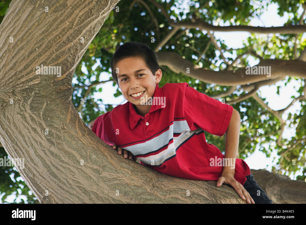 Hispanic boy climbing tree Stock Photo