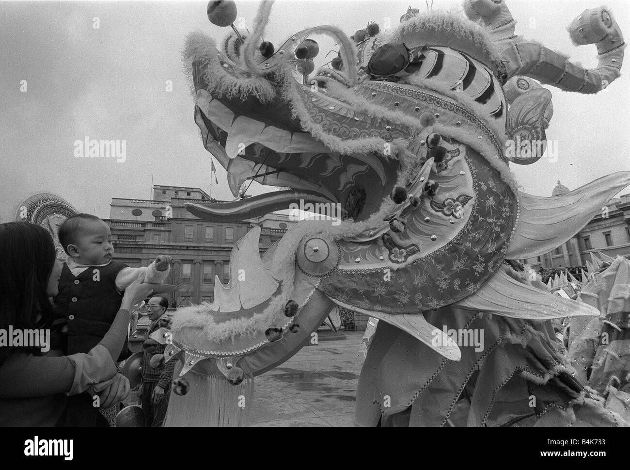 Chinese New Year Celebration Trafalgar Square London February 1977 140ft Chinese Dragon A Chinese Dragon dance the first ever seen in Britain was performed in Trafalgar Square With it s 80 attendants it danced in celebration of the Chinese New Year The Dragon was made especially in Hong Kong and given to the Chinese communityby the Hong Kong Government Stock Photo