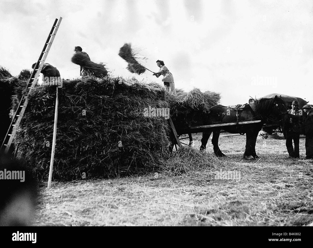 Women during War girls of the Women s Land Army giving a demonstration of how to stack hay for the winter from the Scenes at Farm Country Life Exhibition on the town moor Newcastle MSI WW2 Stock Photo