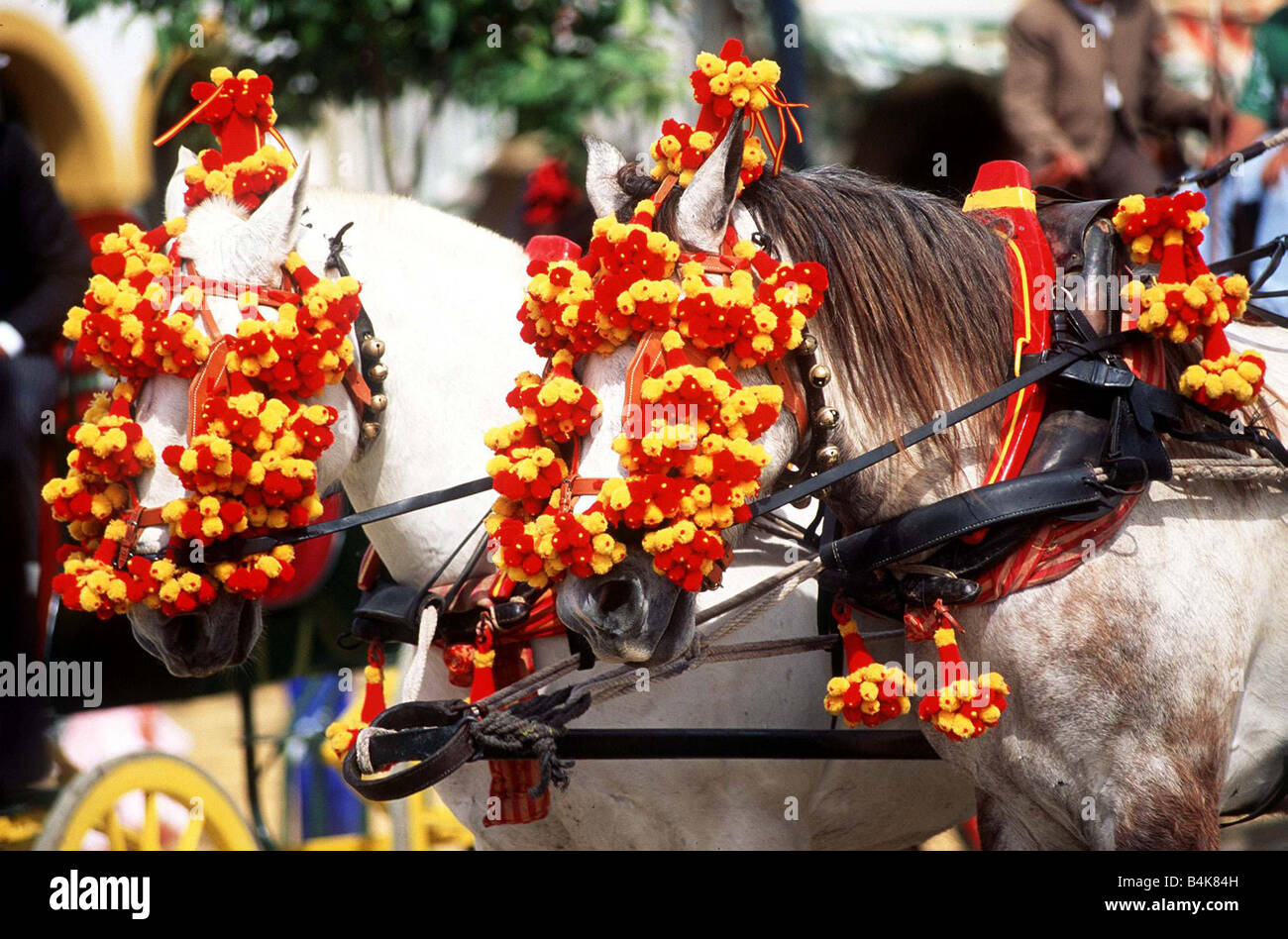 Spain Seville Feria de Abril horses in procession with their face masked with red and white flowers circa 1999 Stock Photo