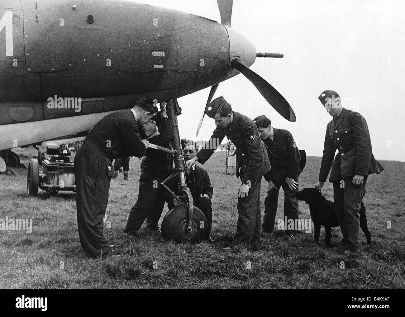 WW2 The Bell Airacobra 1941 RAF examine the wheel of tricycle