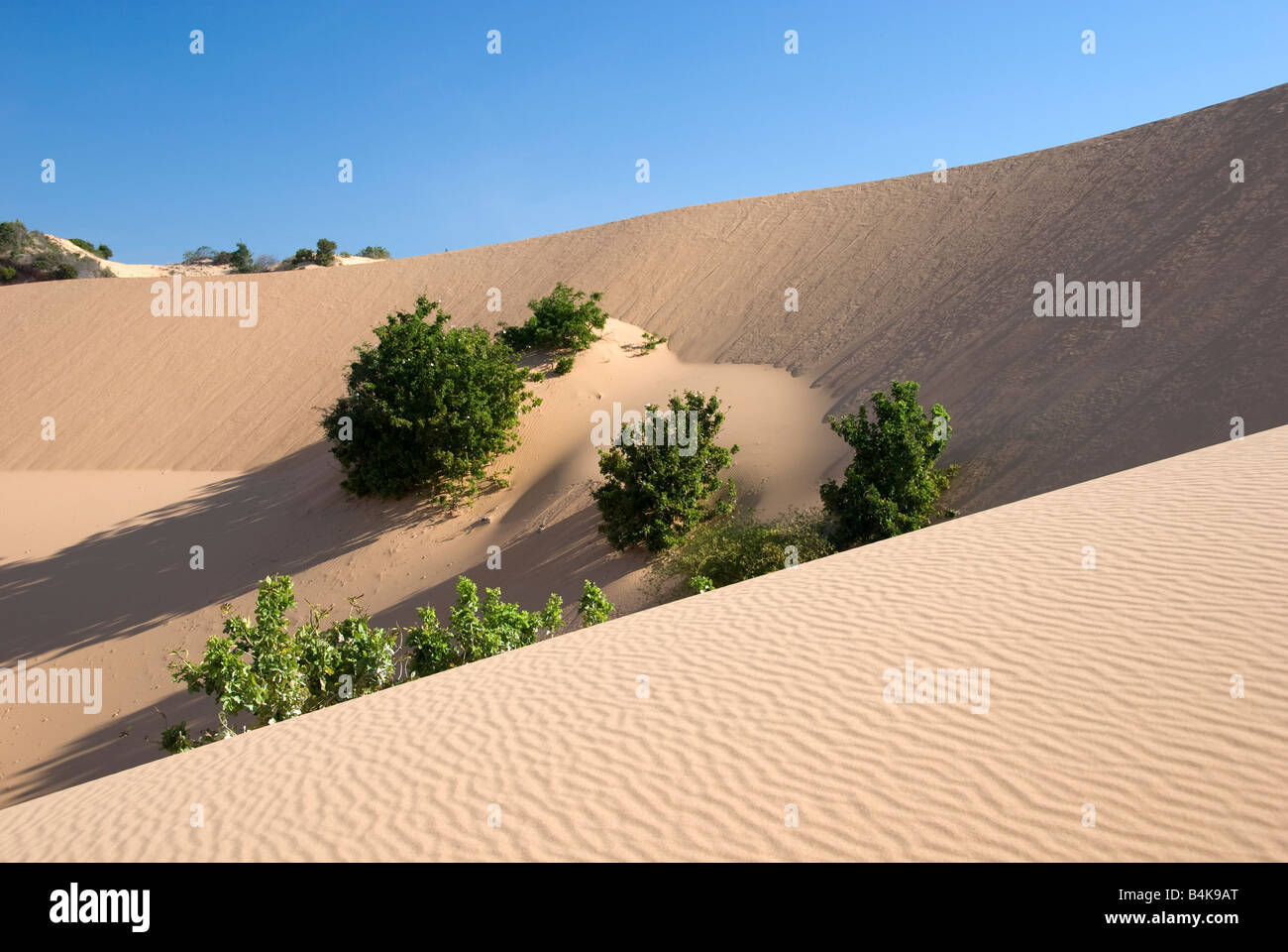 Part of the enormous white sand dunes Mui Ne Vietnam Stock Photo