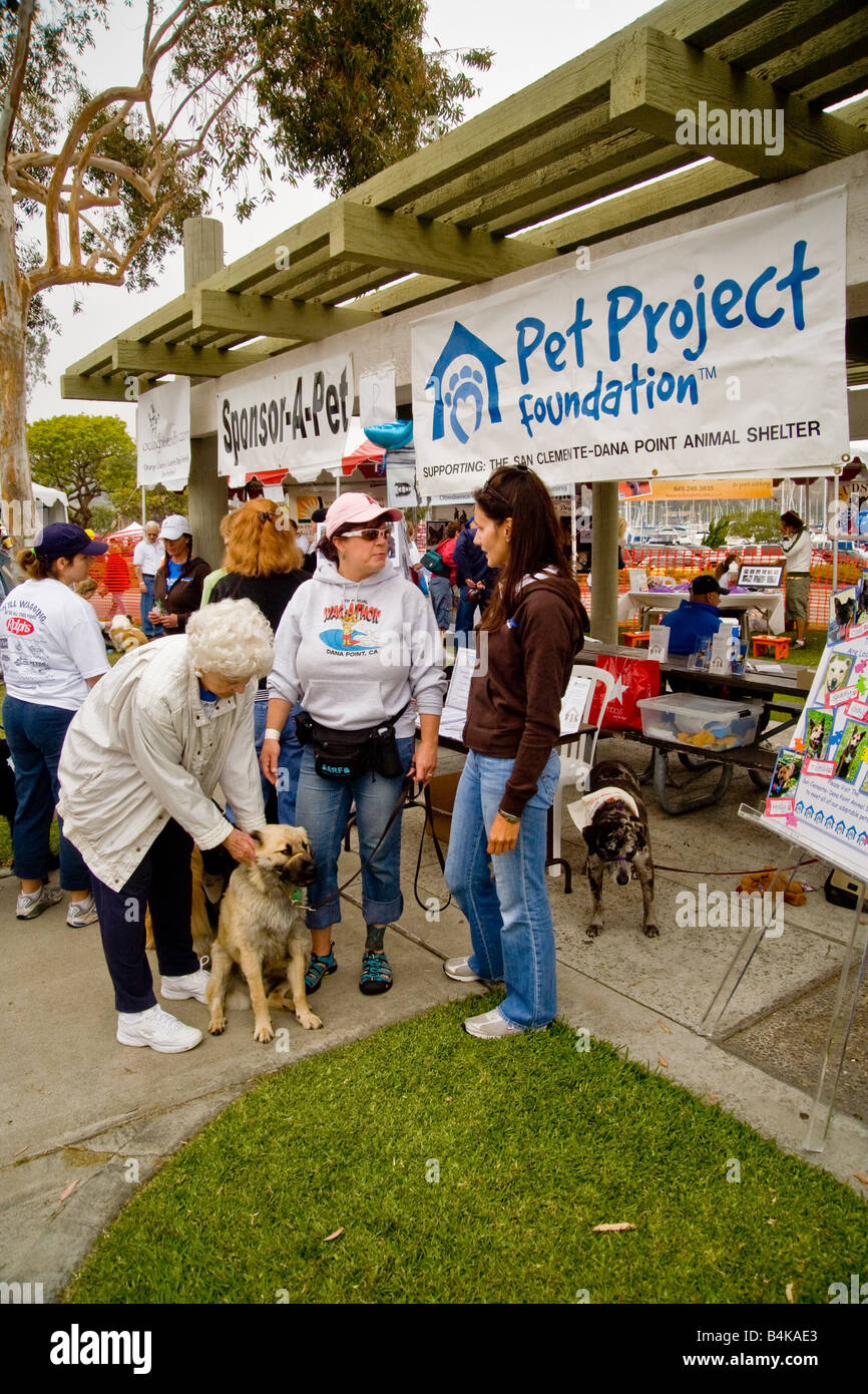 Dog owners gather for a weekend Wag A Thon in Dana Point CA Note signs for pet oriented organizations Stock Photo