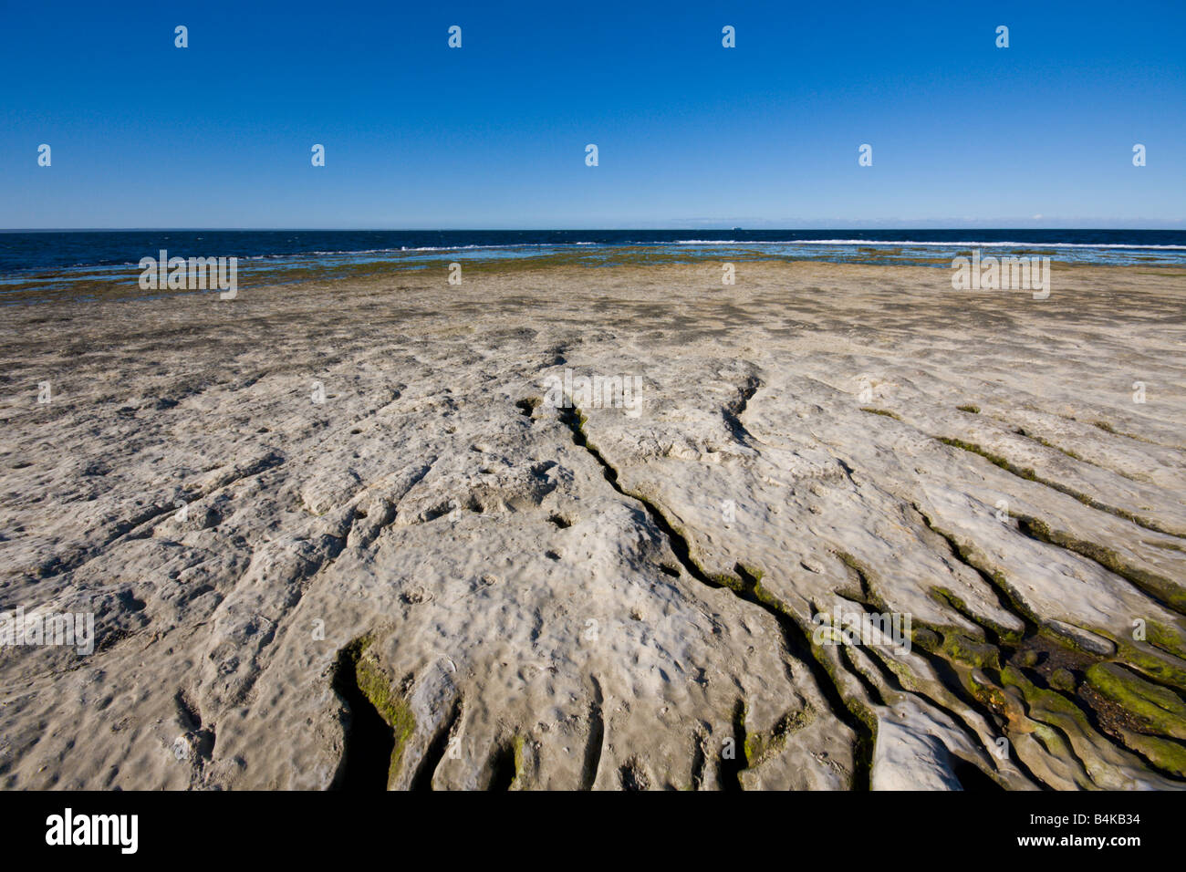 Low tide at Peninsula Valdes in whale season. Patagonia, Argentina. Stock Photo
