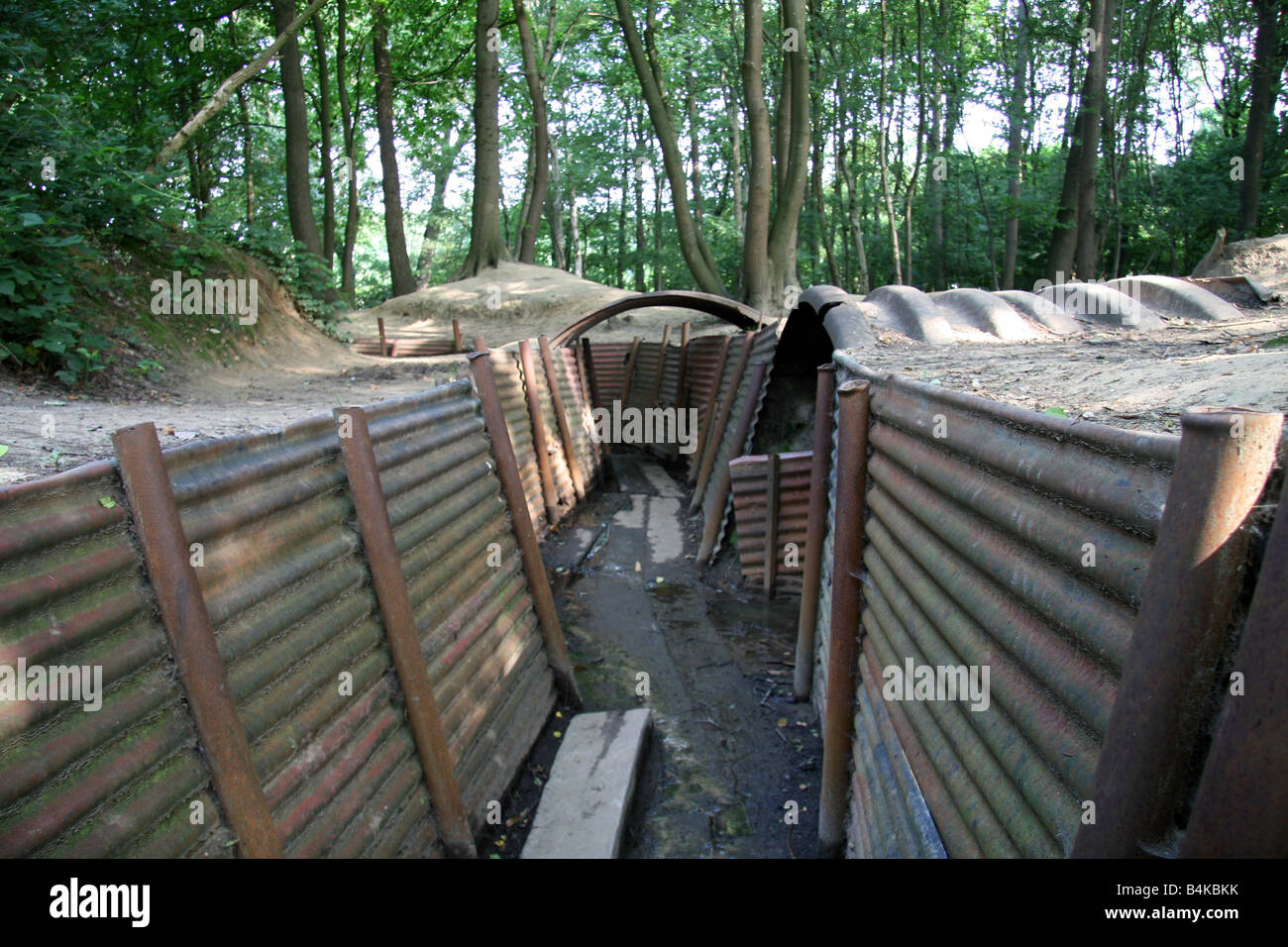 Preserved trenches at the Sanctuary Wood Museum (near Hill 62), just outside Ieper (Ypres), Belgium. Stock Photo