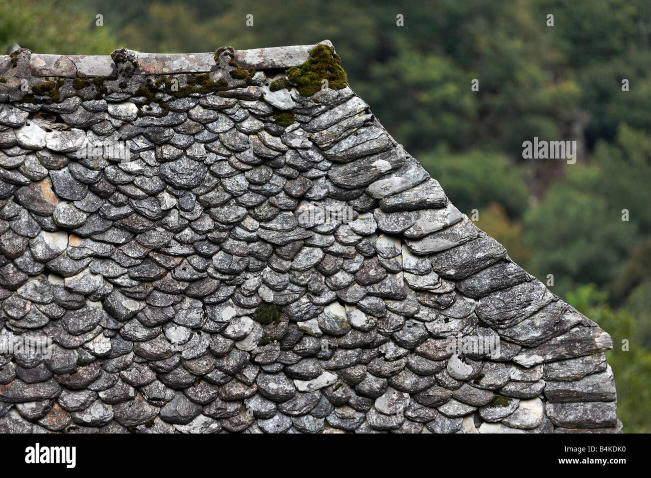 Workers on town house roof removing old slates / no safety equipment or  helmets - France Stock Photo - Alamy