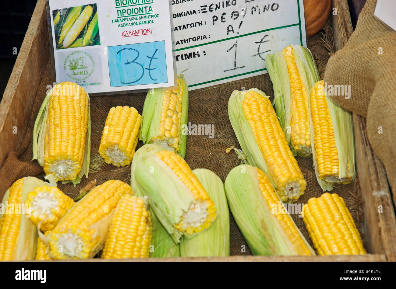 Organic corn on the cob for sale in food market Rethymnon Crete Greece  September 2008 Stock Photo - Alamy