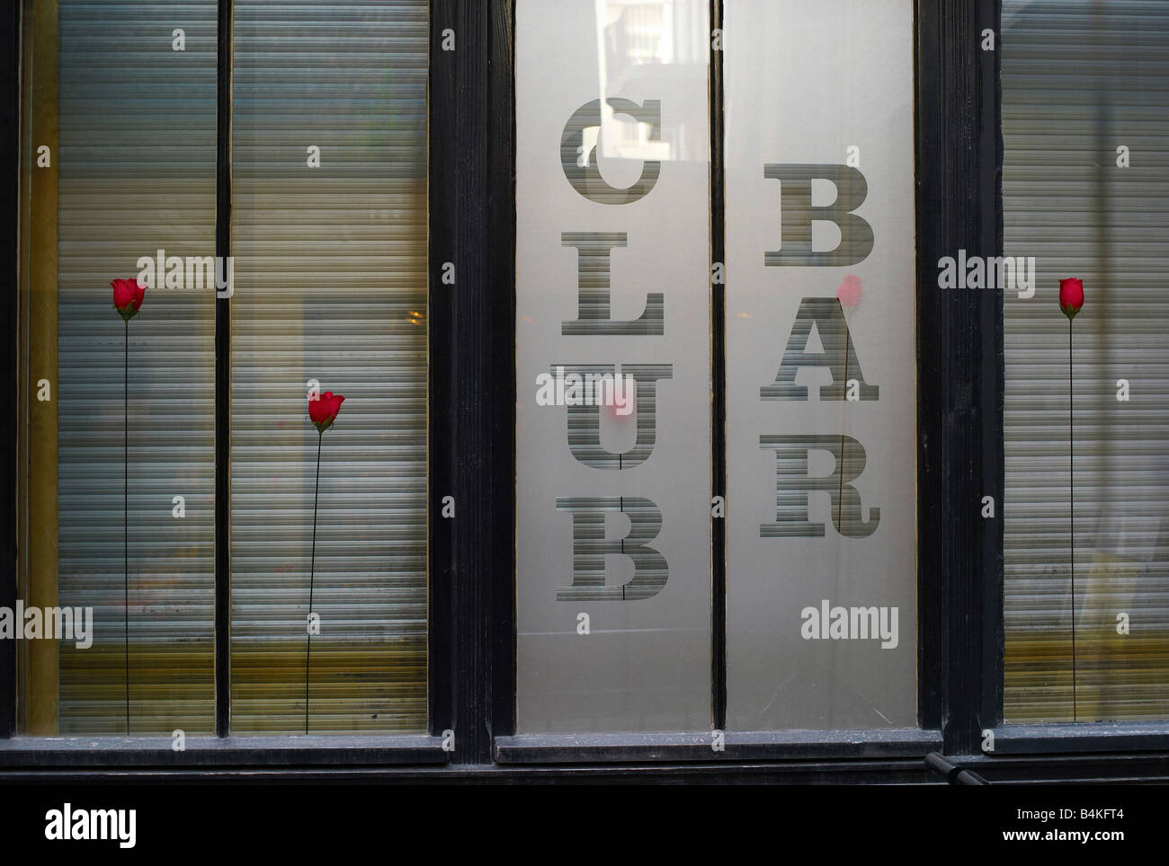 Red plastic roses at a bar in the Hackeschen Hoefen, Berlin, Germany
