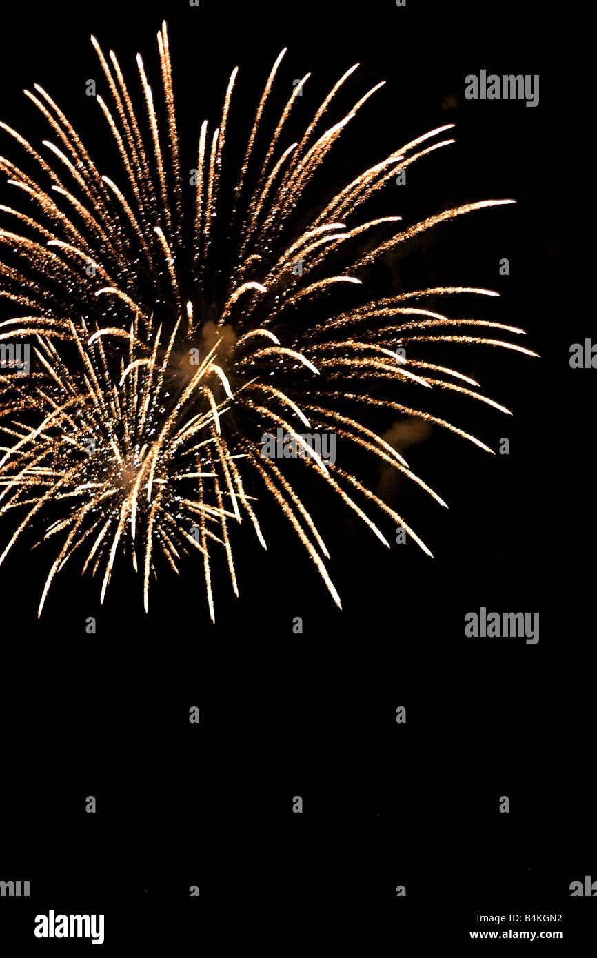 Beautiful fireworks exploding over a dark night sky - Plenty of copyspace Stock Photo