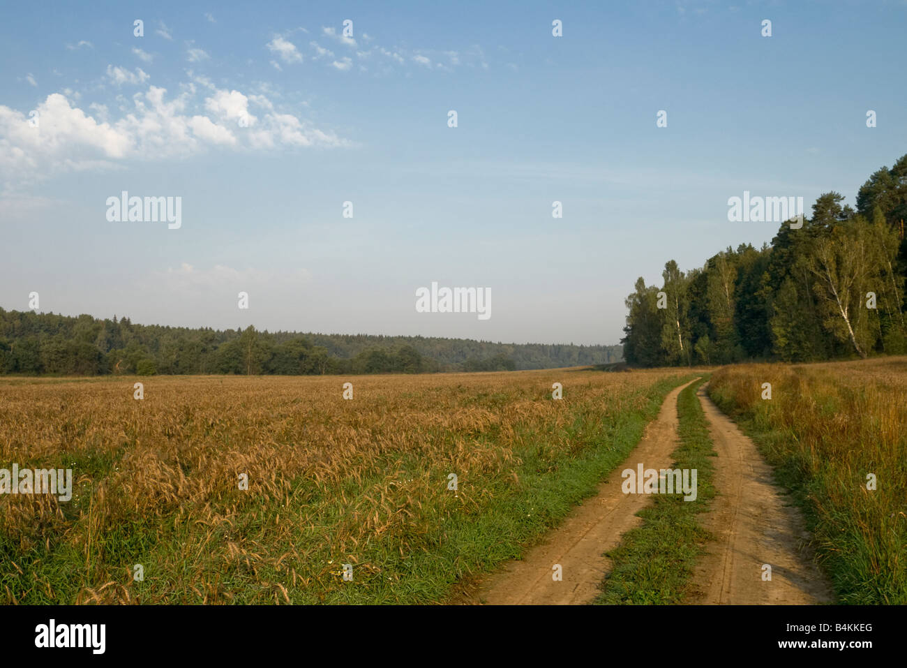 Grass growing along rural road hi-res stock photography and images - Alamy