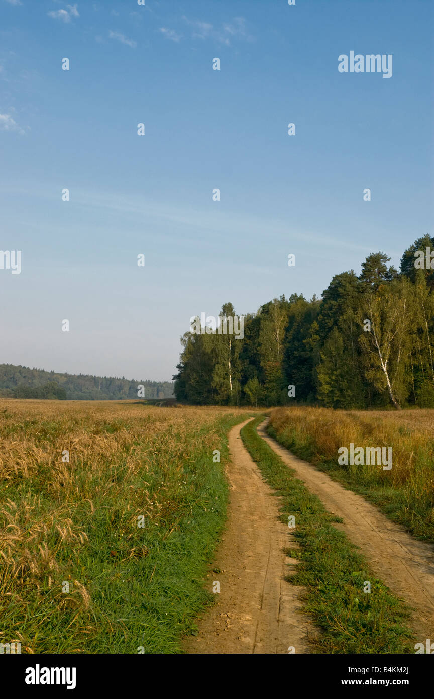 Grass growing along rural road hi-res stock photography and images - Alamy