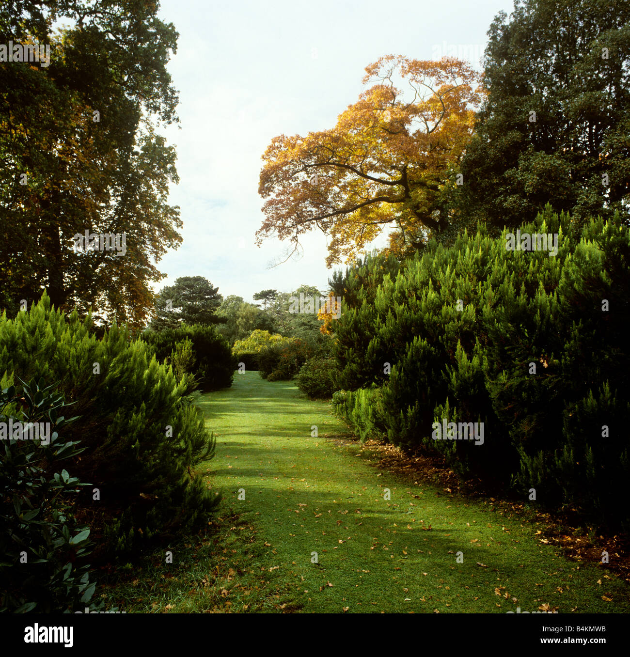 UK England Cheshire Ashton Hayes large private garden in autumn Stock