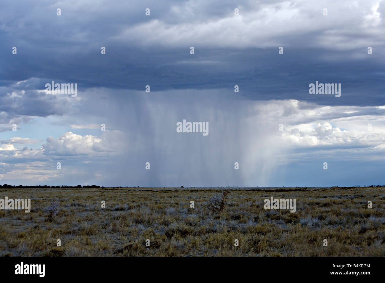 A scenic view of a distant rain in the Etosha National Park Namibia Stock Photo