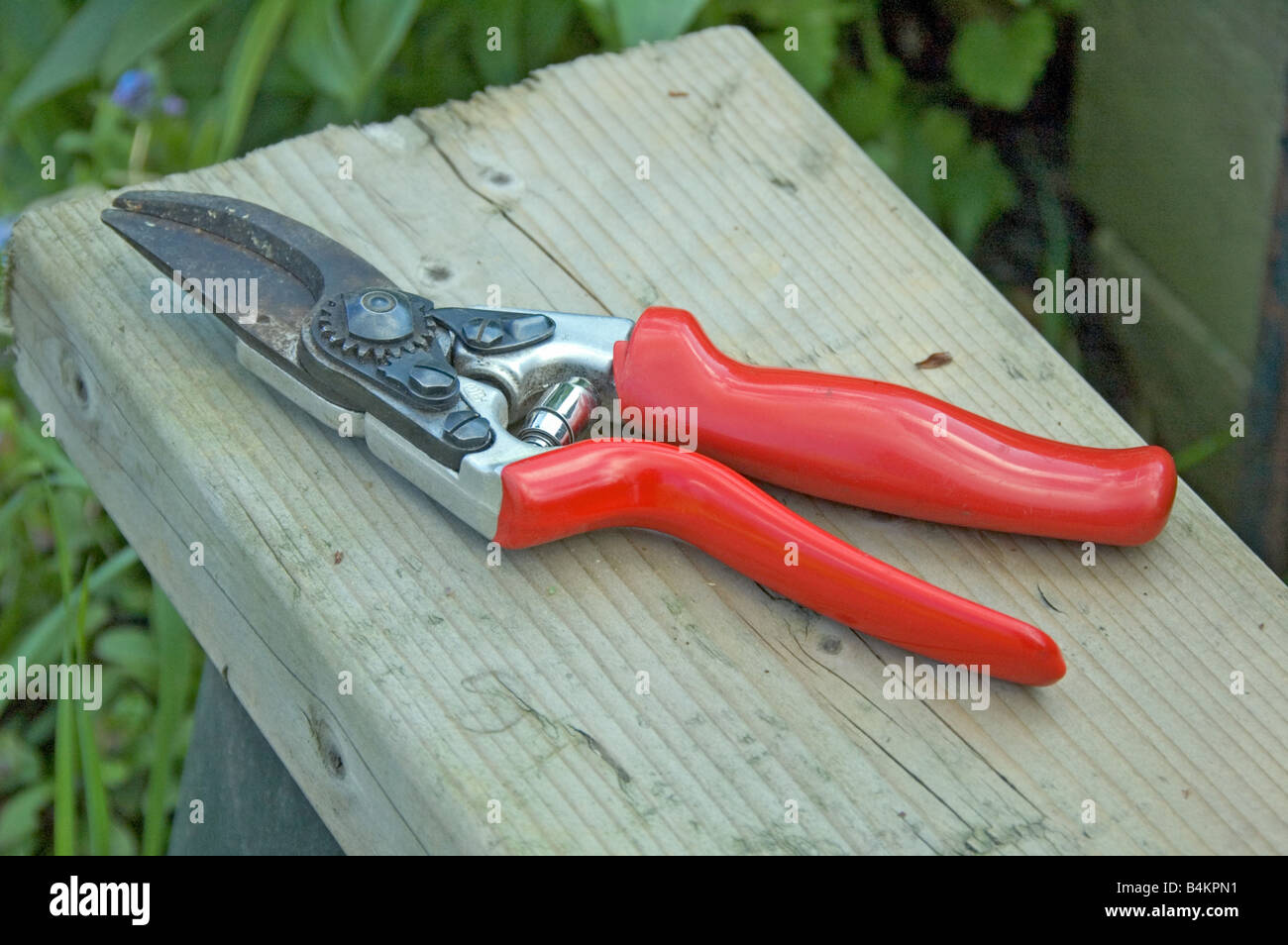 Left handed secateurs on bench Stock Photo