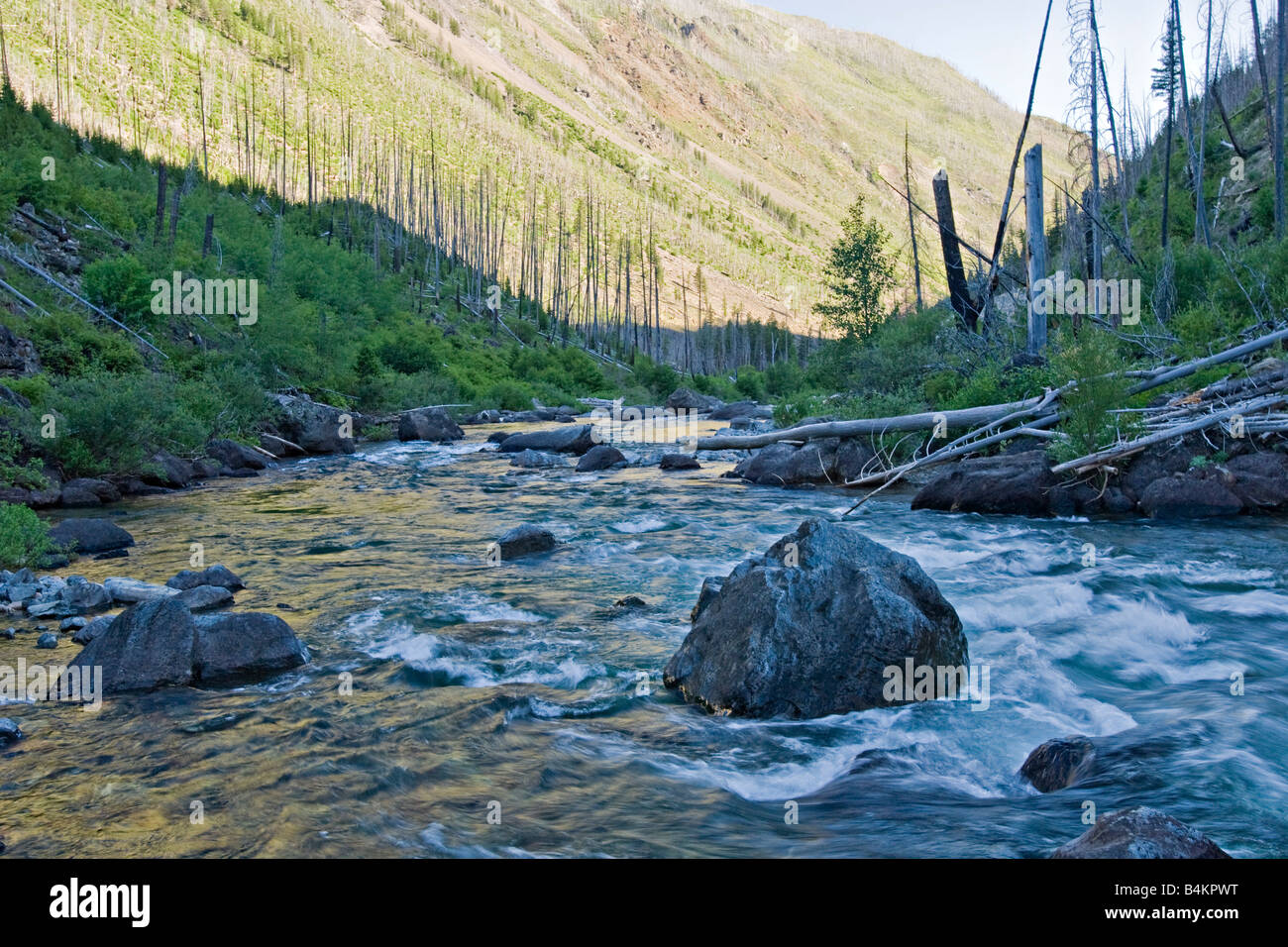 The North Fork of the Blackfoot River in the Scapegoat Wilderness Area ...