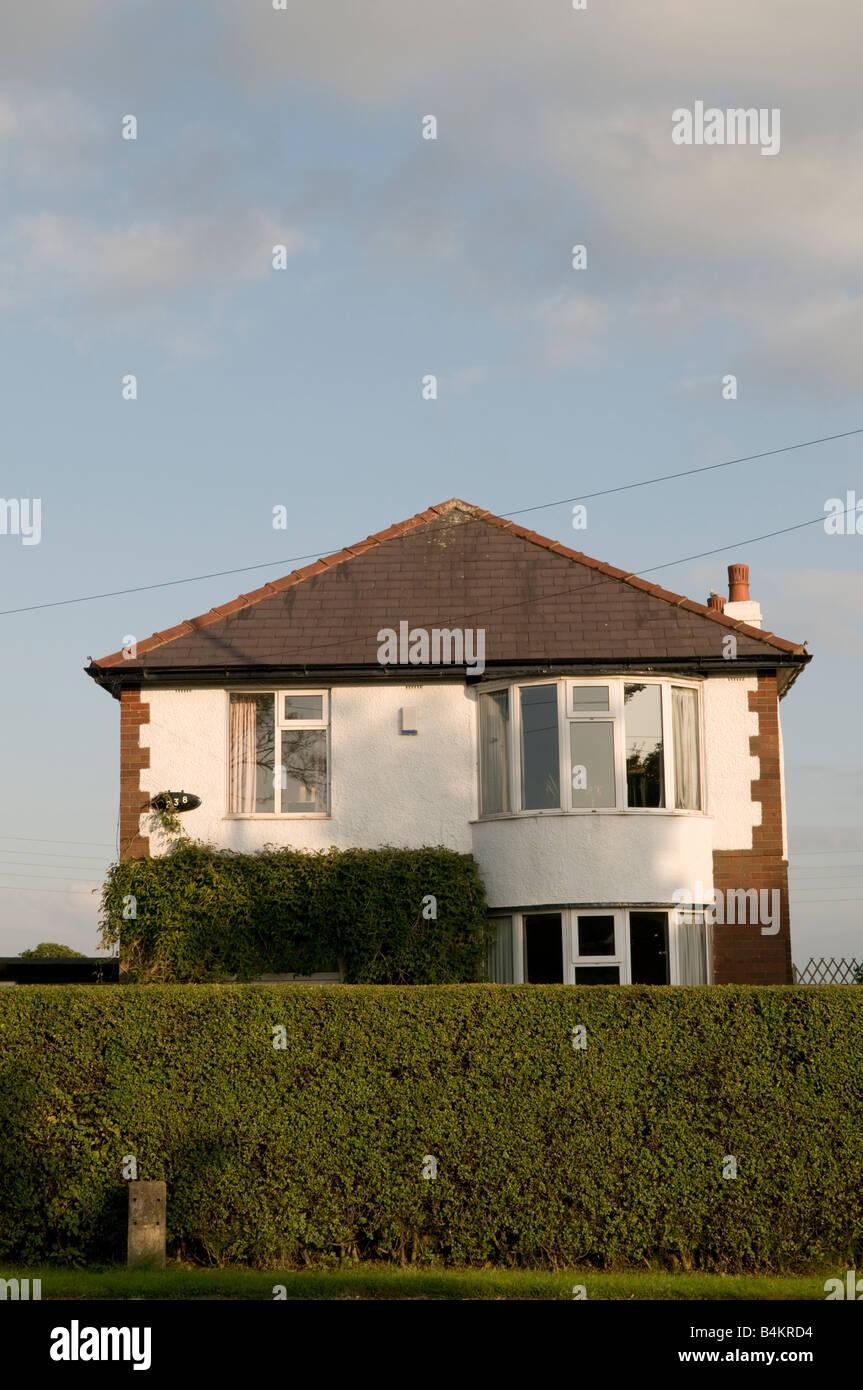 Tall privet hedge in front of detached suburban house Preston Lancashire England UK Stock Photo